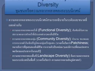 ความหลากหลายของระบบนิเวศน์สามารถอธิบายในระดับและขนาดที่
แตกต่างกัน
• ความหลากหลายของหน้าที่ (Functional Diversity); สัมพันธ์กับความ
สภาวะของการทาหน้าที่ประเภทต่างๆของสิ่งมีชีวิต
• ความหลากหลายของกลุ่ม (Community Diversity); จานวน ขนาดและ
การกระจายตัวในเชิงปริภูมิของกลุ่มหรือชุมชน (บางครั้งเรียกว่าPatchiness;
หมายถึงการที่ชุมชนของสิ่งมีชีวิต กระจายตัวเป็นหย่อมๆและมีการเปลี่ยนแปลงทาง
พลวัตรของประชากรในรอบปี)
• ความหลากหลายของพื้นที่(Landscape Diversity) คือความหลากหลาย
ของระบบนิเวศน์ในพื้นที่ (บางครั้งเรียกว่า ความหลากหลายเชิงภูมิศาสตร์)
 