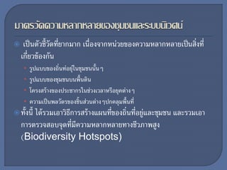  เป็นตัวชี้วัดที่ยากมาก เนื่องจากหน่วยของความหลากหลายเป็นสิ่งที่
เกี่ยวข้องกัน
• รูปแบบของถิ่นท่อยุ่ในชุมชนนั้นๆ
• รูปแบบของชุมชนบนพื้นดิน
• โครงสร้างของประชากรในช่วงเวลาหรือยุคต่างๆ
• ความเป็นพลวัตรของชิ้นส่วนต่างๆปกคลุมพื้นที่
ทั้งนี้ ได้รวมเอาวิธีการสร้างแผนที่ของถิ่นที่อยู่และชุมชน และรวมเอา
การตรวจสอบจุดที่มีความหลากหลายทางชีวภาพสูง
(Biodiversity Hotspots)
 