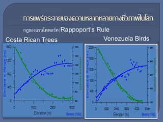 Costa Rican Trees Venezuela Birds
กฎของแรบโพพอร์ท(Rappoport’s Rule
 