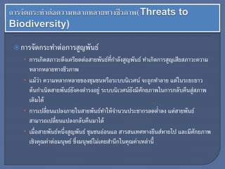 การจัดกระทาต่อการสูญพันธ์
• การเกิดสภาวะตึงเครียดต่อสายพันธ์ที่กาลังสูญพันธ์ ทาเกิดการสูญเสียสภาวะความ
หลากหลายทางชีวภาพ
• แม้ว่า ความหลากหลายของชุมชนหรือระบบนิเวศน์ จะถูกทาลาย แต่ในระยะยาว
ต้นกาเนิดสายพันธ์ยังคงดารงอยู่ ระบบนิเวศน์ยังมีศักยภาพในการกลับคืนสู่สภาพ
เดิมได้
• การเปลี่ยนแปลงภายในสายพันธ์ทาให้จานวนประชากรลดต่าลง แต่สายพันธ์
สามารถเปลี่ยนแปลงกลับคืนมาได้
• เมื่อสายพันธ์หนึ่งสูญพันธ์ ชุมชนอ่อนแอ สารสนเทศทางยีนส์หายไป และมีศักยภาพ
เชิงคุณค่าต่อมนุษย์ ซึ่งมนุษย์ไม่เคยสานึกในคุณค่าเหล่านี้
 