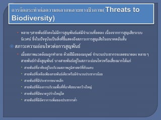• หลายๆสายพันธ์ยังคงไม่มีการสูญพันธ์แต่มีจานวนที่ลดลง เนื่องจากการสูญเสียระบบ
นิเวศน์ ซึ่งในปัจจุบันเป็นสิ่งที่ชี้แสดงถึงสภาวะการสูญเสียในอนาคตอันสั้น
 สภาวะความอ่อนไหวต่อการสูญพันธ์
• เมื่อสภาพแวดล้อมถูกทาลาย ด้วยฝีมือของมนุษย์ จานวนประชากรจะลดขนาดลง หลายๆ
สายพันธ์กาลังสูญพันธ์ บางสายพันธ์อยู่ในสภาวะอ่อนไหวหรือเสี่ยงมากได้แก่
 สายพันธ์ที่อาศัยอยู่ในบริเวณสภาพภูมิศาสตร์ที่คับแคบ
 สายพันธ์ที่เหลือเพียงสายพันธ์เดียวหรือมีจานวนประชากรน้อย
 สายพันธ์ที่มีประชากรขนาดเล็ก
 สายพันธ์ที่ต้องการบริเวณพื้นที่ที่อาศัยขนาดกว้างใหญ่
 สายพันธ์ที่มีขนาดรูปร่างใหญ่โต
 สายพันธ์ที่มีอัตราการเพิ่มของประชากรต่า
 