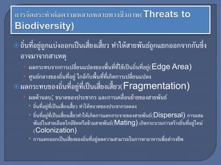 ถิ่นที่อยู่ถูกแบ่งออกเป็นเสี่ยงเสี้ยว ทาให้สายพันธ์ถูกแยกออกจากกันซึ่ง
อาจมาจากสาเหตุ
• ผลกระทบจากการเปลี่ยนแปลงของพื้นที่ที่ใช้เป็นถิ่นที่อยู่(Edge Area)
• ศูนย์กลางของถิ่นที่อยู่ ใกล้กับพื้นที่ที่เกิดการเปลี่ยนแปลง
ผลกระทบของถิ่นที่อยู่ที่เป็นเสี่ยงเสี้ยว(Fragmentation)
• ผลด้านลบ; ขนาดของประชากร และการเคลื่อนย้ายของสายพันธ์
 ถิ่นที่อยู่ที่เป็นเสี่ยงเสี้ยว ทาให้ขนาดของประชากรลดลง
 ถิ่นที่อยู่ที่เป็นเสี่ยงเสี้ยวทาให้เกิดการแตกกระจายของสายพันธ์(Dispersal) การผสม
พันธ์ในสายเลือดใกล้ชิดหรือข้ามสายพันธ์(Mating) เกิดกระบวนการสร้างถิ่นที่อยู่ใหม่
(Colonization)
 การแตกออกเป็นเสี่ยงของถิ่นที่อยู่ลดความสามารถในการหาอาหารเพื่อดารงชีพ
 