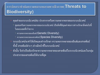 • คุณค่าของระบบนิเวศน์ต่อ ประชากรหรือความหลากหลายของระบบนิเวศน์
 ชุมชนหรือความหลากหลายของระบบนิเวศน์ เป็นสิ่งที่มีคุณค่าต่อการดารงรักษาสิ่งต่อไปนี้
ในขอบเขตที่กว้าขวาง
 ความหลากหลายของยีนส์(Genetic Diversity)
 ความหลากหลายของสายพันธ์(Species Diversity)
• ระบบนิเวศน์จะทาให้เกิดและดารงรักษา ความหลากหลายของยีนส์และสายพันธ์
ทั้งนี้ สายพันธ์ต่างๆ ต่างมีหน้าที่ในระบบนิเวศน์
• ดังนั้น จึงจาเป็นต้องรักษาความหลากหลายของสายพันธ์ในระบบนิเวศน์และในกลุ่ม
ประชากรของสายพันธ์ให้นานที่สุด
 