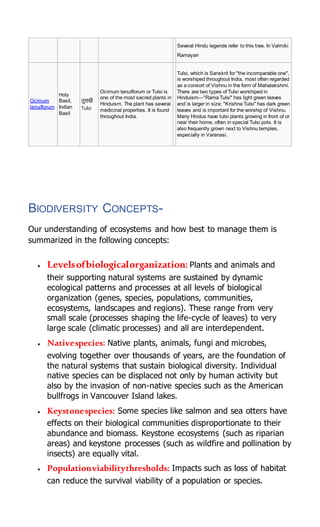Several Hindu legends refer to this tree. In Valmiki
Ramayan
Ocimum
tenuiflorum
Holy
Basil,
Indian
Basil
िुलसी
Tulsi
Ocimum tenuiflorum or Tulsi is
one of the most sacred plants in
Hinduism. The plant has several
medicinal properties. It is found
throughout India.
Tulsi, which is Sanskrit for "the incomparable one",
is worshiped throughout India, most often regarded
as a consort of Vishnu in the form of Mahalakshmi.
There are two types of Tulsi worshiped in
Hinduism—"Rama Tulsi" has light green leaves
and is larger in size; "Krishna Tulsi" has dark green
leaves and is important for the worship of Vishnu.
Many Hindus have tulsi plants growing in front of or
near their home, often in special Tulsi pots. It is
also frequently grown next to Vishnu temples,
especially in Varanasi.
BIODIVERSITY CONCEPTS-
Our understanding of ecosystems and how best to manage them is
summarized in the following concepts:
 Levelsofbiologicalorganization: Plants and animals and
their supporting natural systems are sustained by dynamic
ecological patterns and processes at all levels of biological
organization (genes, species, populations, communities,
ecosystems, landscapes and regions). These range from very
small scale (processes shaping the life-cycle of leaves) to very
large scale (climatic processes) and all are interdependent.
 Nativespecies: Native plants, animals, fungi and microbes,
evolving together over thousands of years, are the foundation of
the natural systems that sustain biological diversity. Individual
native species can be displaced not only by human activity but
also by the invasion of non-native species such as the American
bullfrogs in Vancouver Island lakes.
 Keystonespecies: Some species like salmon and sea otters have
effects on their biological communities disproportionate to their
abundance and biomass. Keystone ecosystems (such as riparian
areas) and keystone processes (such as wildfire and pollination by
insects) are equally vital.
 Populationviabilitythresholds: Impacts such as loss of habitat
can reduce the survival viability of a population or species.
 