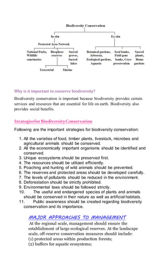 Why is it important to conserve biodiversity?
Biodiversity conservation is important because biodiversity provides certain
services and resources that are essential for life on earth. Biodiversity also
provides social benefits.
StrategiesforBiodiversityConservation
Following are the important strategies for biodiversity conservation:
1. All the varieties of food, timber plants, livestock, microbes and
agricultural animals should be conserved.
2. All the economically important organisms should be identified and
conserved.
3. Unique ecosystems should be preserved first.
4. The resources should be utilized efficiently.
5. Poaching and hunting of wild animals should be prevented.
6. The reserves and protected areas should be developed carefully.
7. The levels of pollutants should be reduced in the environment.
8. Deforestation should be strictly prohibited.
9. Environmental laws should be followed strictly.
10. The useful and endangered species of plants and animals
should be conserved in their nature as well as artificial habitats.
11. Public awareness should be created regarding biodiversity
conservation and its importance.
MAJOR APPROACHES TO MANAGEMENT
At the regional scale, management should ensure the
establishment of large ecological reserves. At the landscape
scale, off-reserve conservation measures should include:
(1) protected areas within production forests;
(2) buffers for aquatic ecosystems;
 