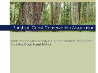 Sunshine Coast Conservation Association


Understanding Biodiversity in Coastal Forested Landscapes
Sunshine Coast Forest District
 