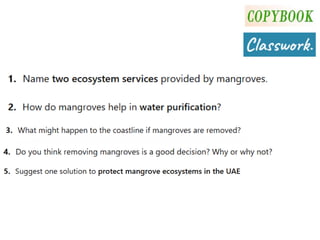 Understanding Biodiversity: Types, Benefits, and Ecosystem Services | PDF