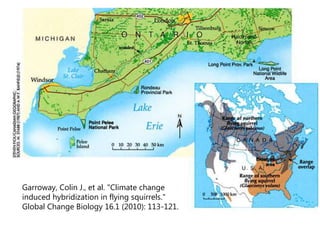 Garroway, Colin J., et al. "Climate change
induced hybridization in flying squirrels."
Global Change Biology 16.1 (2010): 113-121.
 