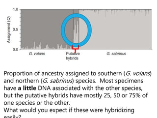 Proportion of ancestry assigned to southern (G. volans)
and northern (G. sabrinus) species. Most specimens
have a little DNA associated with the other species,
but the putative hybrids have mostly 25, 50 or 75% of
one species or the other.
What would you expect if these were hybridizing
 