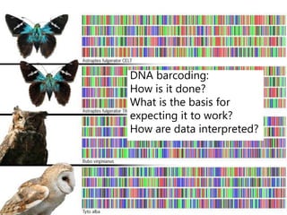 DNA barcoding:
How is it done?
What is the basis for
expecting it to work?
How are data interpreted?
 
