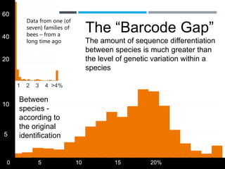 The “Barcode Gap”
The amount of sequence differentiation
between species is much greater than
the level of genetic variation within a
species
1 2 3 4 >4%
0 5 10 15 20%
60
40
20
10
5
Within a
species –
according
to the
original
identification
Between
species -
according to
the original
identification
Data from one (of
seven) families of
bees – from a
long time ago
 