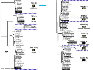 ©2004 by National Academy of Sciences
 