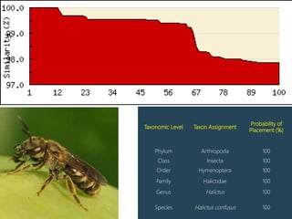 Taxonomic Level Taxon Assignment
Probability of
Placement (%)
Phylum Arthropoda 100
Class Insecta 100
Order Hymenoptera 100
Family Halictidae 100
Genus Halictus 100
Species Halictus confusus 100
 