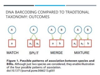 DNA BARCODING COMPARED TO TRADITIONAL
TAXONOMY: OUTCOMES
 
