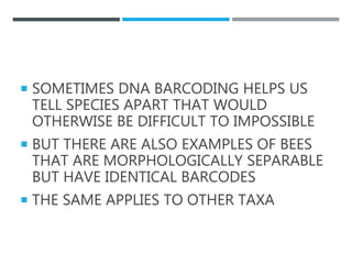  SOMETIMES DNA BARCODING HELPS US
TELL SPECIES APART THAT WOULD
OTHERWISE BE DIFFICULT TO IMPOSSIBLE
 BUT THERE ARE ALSO EXAMPLES OF BEES
THAT ARE MORPHOLOGICALLY SEPARABLE
BUT HAVE IDENTICAL BARCODES
 THE SAME APPLIES TO OTHER TAXA
 