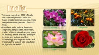 Biodiversity - By silver line prestige school | PPT