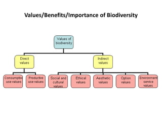 Values/Benefits/Importance of Biodiversity
 