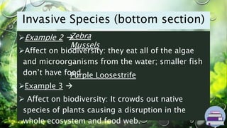 Biodiversity Foldable Instructions.pptx