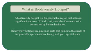 Biodiversity_hotspot_and_their_coservation[1].pptx