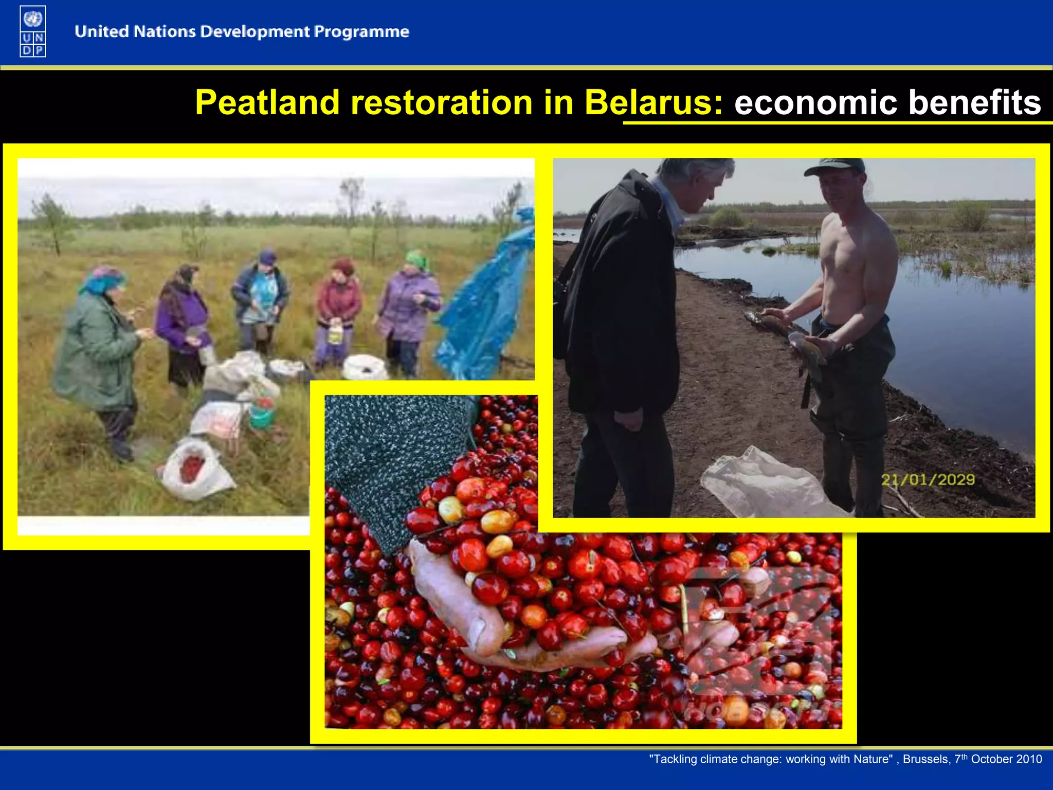 Role of selected European ecosystems in the carbon balance Source: Adapted from Trumperet al., 2009. 