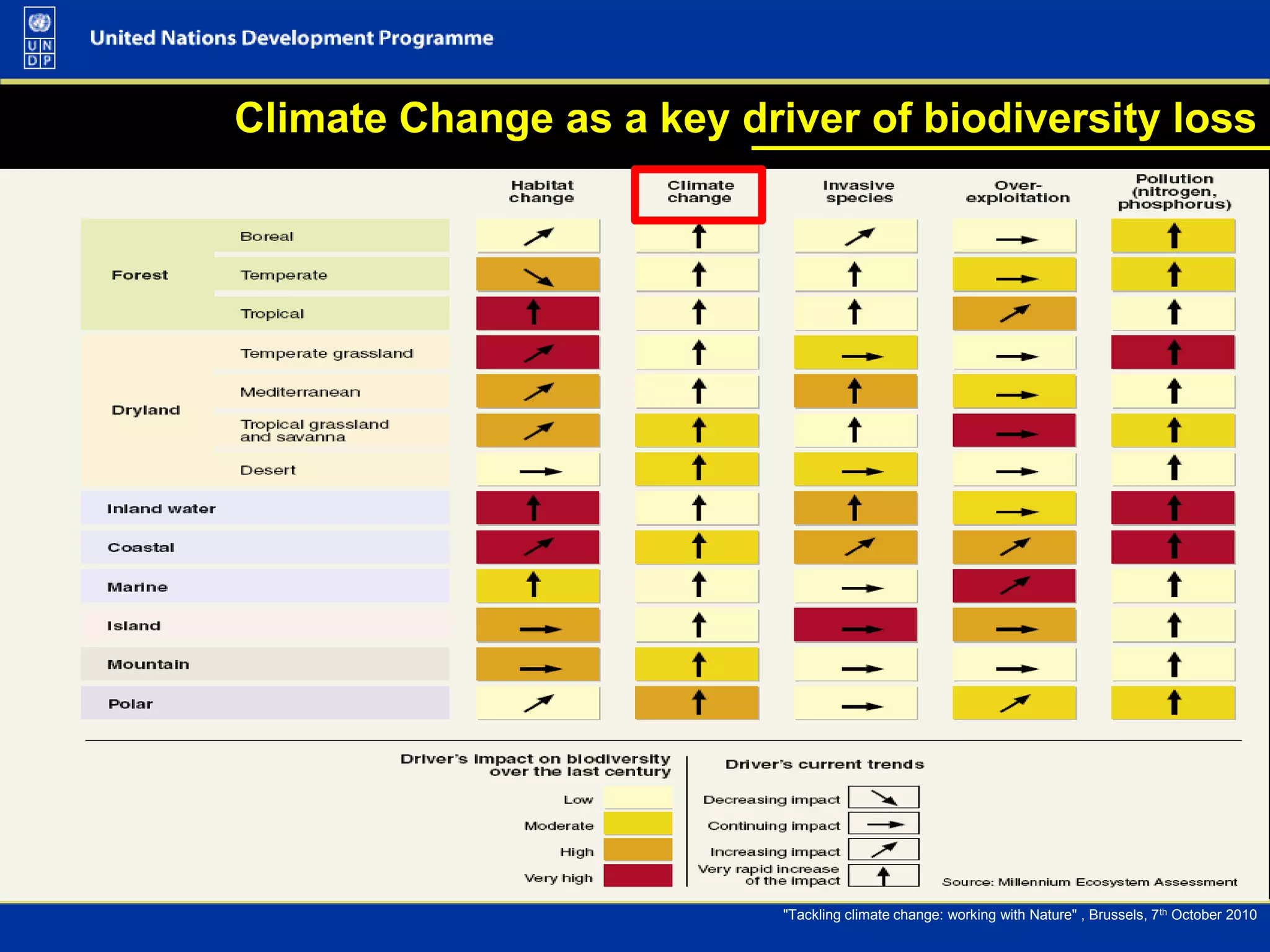 Biodiversity and climate change are inter-connectedClimate Change Impacts on BiodiversityChanges in Biodiversity affect Climate ChangeEcosystems play a key role in:Global Carbon Cycle;