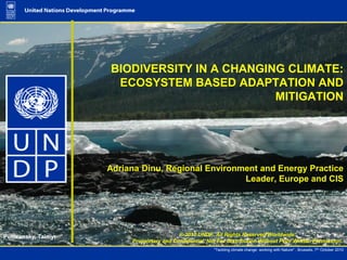 BIODIVERSITY IN A CHANGING CLIMATE: ECOSYSTEM BASED ADAPTATION AND MITIGATION  Adriana Dinu, Regional Environment and Energy Practice Leader, Europe and CIS  Putoransky, Taimyr © 2010 UNDP. All Rights Reserved Worldwide. Proprietary and Confidential. Not For Distribution Without Prior Written Permission. 