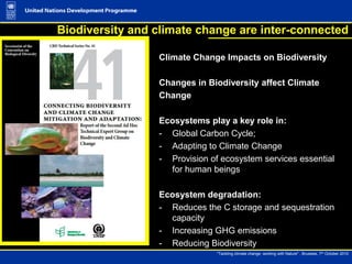 Biodiversity in a changing climate: Ecosystem based adaptation and ...