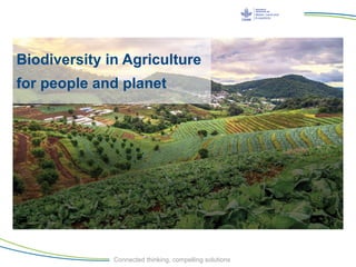 Connected thinking, compelling solutions
Biodiversity in Agriculture
for people and planet
 