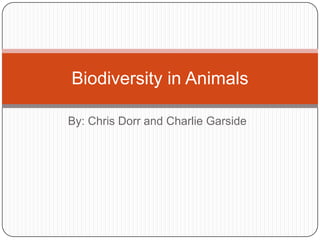 By: Chris Dorr and Charlie Garside Biodiversity in Animals  