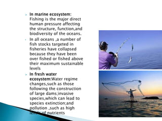  In marine ecosystem:
Fishing is the major direct
human pressure affecting
the structure, function,and
biodiversity of the oceans.
• In all oceans ,a number of
fish stocks targeted in
fisheries have collapsed
because they have been
over fished or fished above
their maximum sustainable
levels
 In fresh water
ecosystem:Water regime
changes,such as those
following the construction
of large dams;invasive
species,which can lead to
species extinction;and
pollution ,such as high
levels of nutrients
 