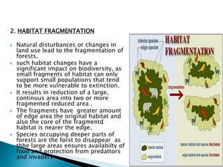 2. HABITAT FRAGMENTATION
 Natural disturbances or changes in
land use lead to the fragmentation of
forests.
 such habitat changes have a
significant impact on biodiversity, as
small fragments of habitat can only
support small populations that tend
to be more vulnerable to extinction.
 It results in reduction of a large,
continuus area into two or more
fragmented reduced area .
 The fragments have greater amount
of edge area the original habitat and
also the core of the fragmentd
habitat is nearer the edge.
 Species occupying deeper parts of
forests are the forst to disappear as
thhe large areas ensures availabilty of
food and protection from predattors
and invaders
 