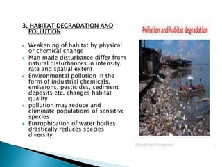 3. HABITAT DEGRADATION AND
POLLUTION
 Weakening of habitat by physical
or chemical change
 Man made disturbance differ from
natural disturbances in intensity,
rate and spatial extent
 Environmental pollution in the
form of industrial chemicals,
emissions, pesticides, sediment
deposits etc. changes habitat
quality
 pollution may reduce and
eliminate populations of sensitive
species
 Eutrophication of water bodies
drastically reduces species
diversity
 