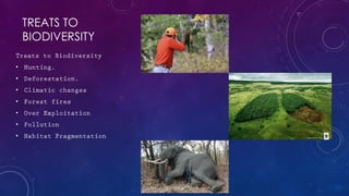 TREATS TO
BIODIVERSITY
•
•
•
•
•
•
•
 