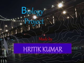 Made by
Biology
Project
 