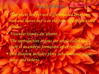 THALLOPHYTA
 The plant body is not differentiated into stem,
root and leaves but is in the form of an undivided
thallus.
 Vascular tissues are absent.
 The reproductive organs are single-celled and
there is no embryo formation after fertilization.
This division includes three sub-divisions: algae,
fungi and lichens.
 