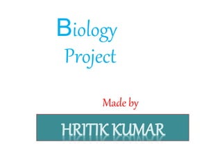 Made by
Biology
Project
 