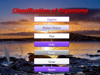 Classification of Organisms
Kingdom
Phylum/ Division
Class
Order
Family
Genus
Species
 
