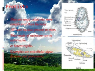Protista
 They are single celled but more
complicated than bacteria.
 All have nucleus present in them.
 Their mode of nutrition can be
autotrophic
 or heterotrophic.
 Examples are unicellular algae,
diatoms and protozoans.
 