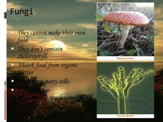 Fungi
 They cannot make their own
food
 They don’t contain
cholorophyll.
 Absorb food from organic
matter
 Most have many cells.
 Examples are
mold,mildew,mushroom etc
 