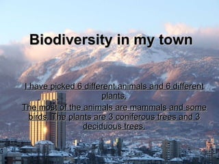 Biodiversity in my town I have picked 6 different animals and 6 different plants. The most of the animals are mammals and some birds. The plants are 3 coniferous trees and 3 deciduous trees. 