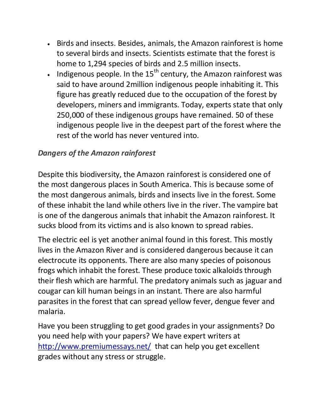 Basin essay 08 picture