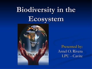 Biodiversity in the Ecosystem Presented by: Arnel O. Rivera LPU - Cavite 