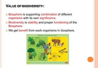 VALUE OF BIODIVERSITY:
 Biosphere is supporting combination of different
organisms with its own significance.
 Biodiversity is stability and proper functioning of the
Biosphere.
 We get benefit from each organisms in biosphere.
 