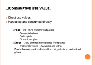CONSUMPTIVE USE VALUE:
 Direct use values
 Harvested and consumed directly
 Food – 80 – 90% tropical wild plants
Ceropegia bulbosa
Codonopisis
Cicer microphyllum
 Drugs – 70% of modern medicines from plants
Traditional systems – Ayurvedha and Sidha.
 Fuel – firewoods – fossil fuels like coal, petroleum and natural
gases
 