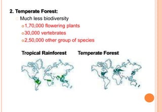 2. Temperate Forest:
Much less biodiversity
1,70,000 flowering plants
30,000 vertebrates
2,50,000 other group of species
Tropical Rainforest Temperate Forest
 