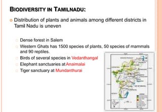 BIODIVERSITY IN TAMILNADU:
 Distribution of plants and animals among different districts in
Tamil Nadu is uneven
Dense forest in Salem
Western Ghats has 1500 species of plants, 50 species of mammals
and 90 reptiles.
Birds of several species in Vedanthangal
Elephant sanctuaries at Anaimalai
Tiger sanctuary at Mundanthurai
 