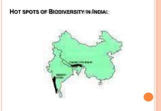 HOT SPOTS OF BIODIVERSITY IN INDIA:
 