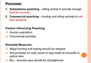 POACHING:
1. Subsistence poaching – killing animal to provide enough
food for survival
2. Commercial poaching – hunting and killing animals to sell
their products
Factors influencing Poaching:
 Human population
 Commercial activities
Remedial Measures:
 Illegal hunting and trading should be stopped
 Not purchase fur coat, purse or bag made of crocodile or
python skin
 Bio – diversity laws should be strengthened
 