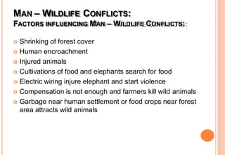 MAN – WILDLIFE CONFLICTS:
FACTORS INFLUENCING MAN – WILDLIFE CONFLICTS:
 Shrinking of forest cover
 Human encroachment
 Injured animals
 Cultivations of food and elephants search for food
 Electric wiring injure elephant and start violence
 Compensation is not enough and farmers kill wild animals
 Garbage near human settlement or food crops near forest
area attracts wild animals
 