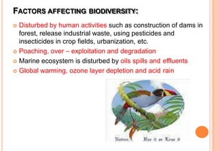 FACTORS AFFECTING BIODIVERSITY:
 Disturbed by human activities such as construction of dams in
forest, release industrial waste, using pesticides and
insecticides in crop fields, urbanization, etc.
 Poaching, over – exploitation and degradation
 Marine ecosystem is disturbed by oils spills and effluents
 Global warming, ozone layer depletion and acid rain
 